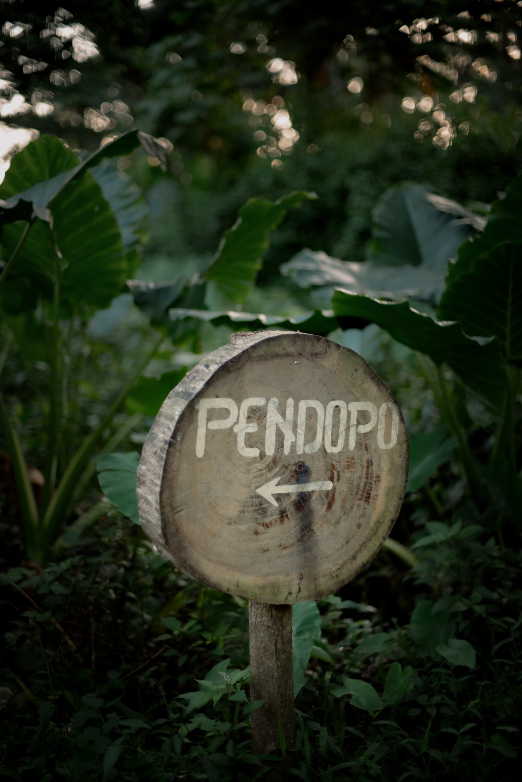 Tifa & Ichal 170426 (9)